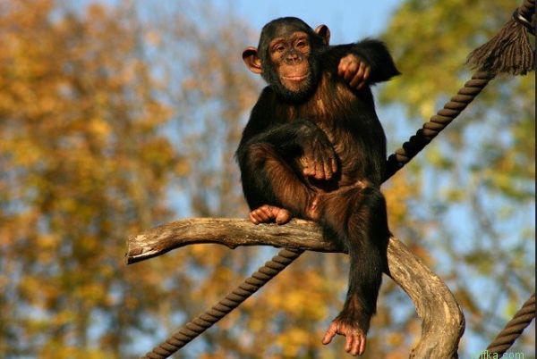 ������� �� ������ � ������ ������������..