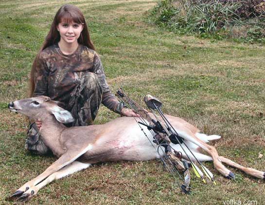 мертвые зверюшки