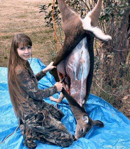 мертвые зверюшки