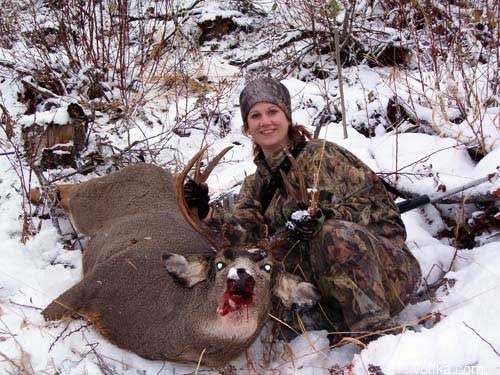 мертвые зверюшки