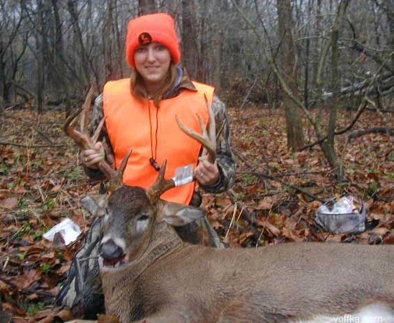 мертвые зверюшки