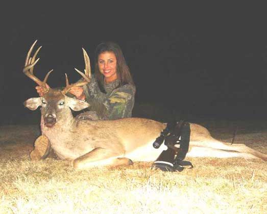 мертвые зверюшки