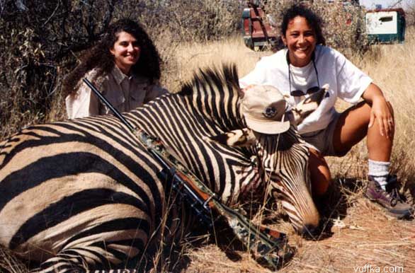 мертвые зверюшки