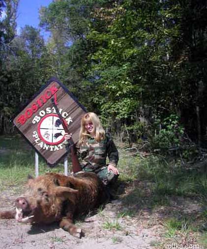 мертвые зверюшки