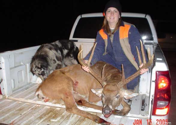 мертвые зверюшки