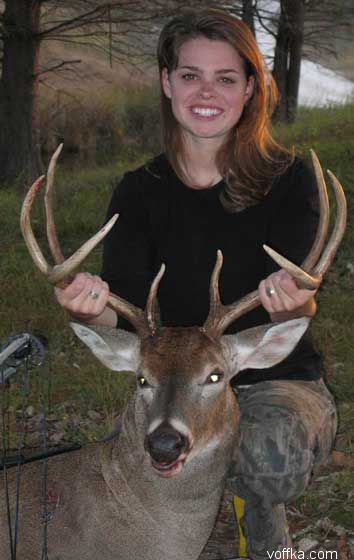 мертвые зверюшки