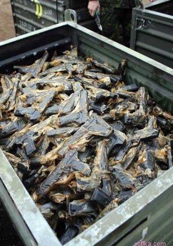 �������� ������