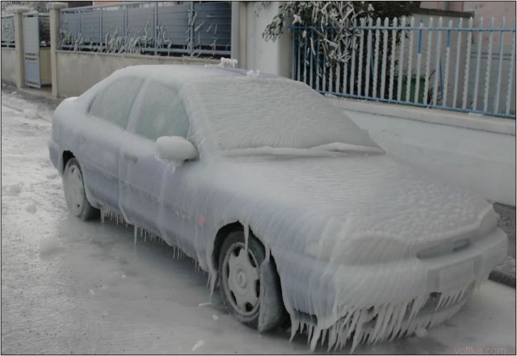 ��� ��������