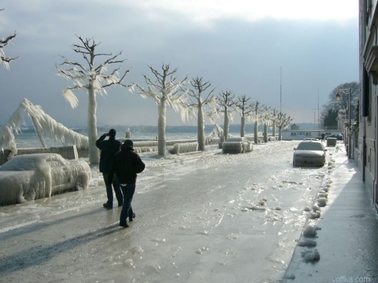 ��� ��������