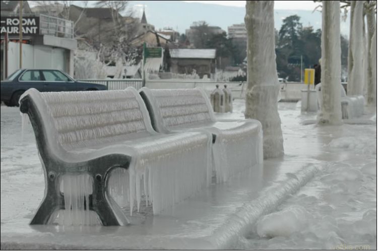 ��� ��������