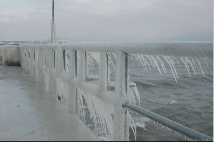 ��� ��������