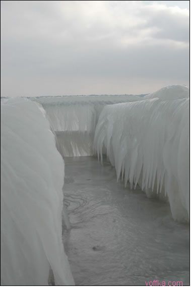 ��� ��������