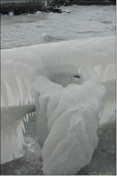 ��� ��������