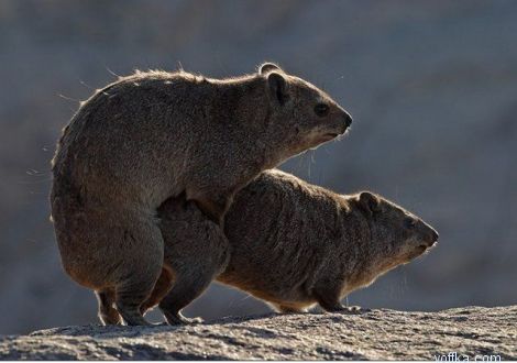 ���� � ��������