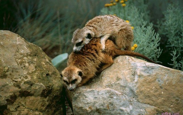 ���� � ��������