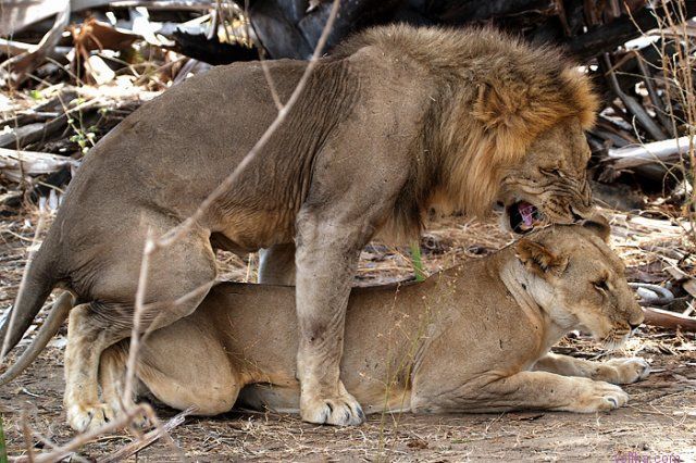 ���� � ��������