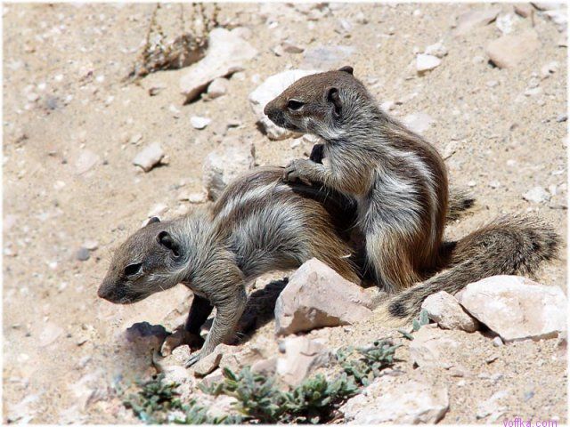 ���� � ��������