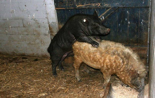 ���� � ��������