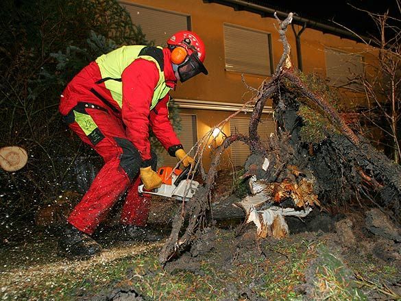 ������ ������