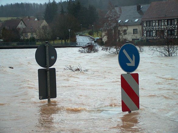 ������ ������