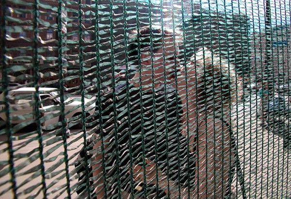 ����� ��� ��������