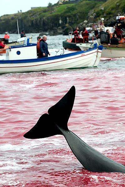 ����� �� ����� 