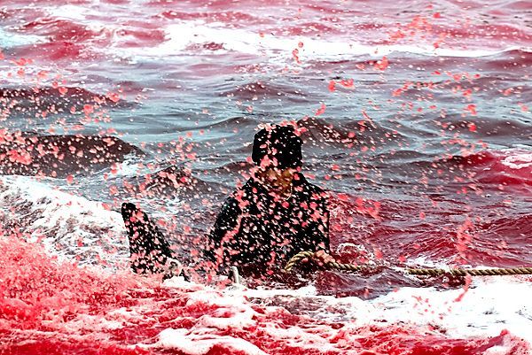 ����� �� ����� 