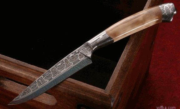 ���� ������ ������� ��������