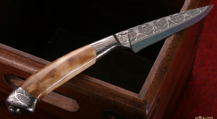 ���� ������ ������� ��������