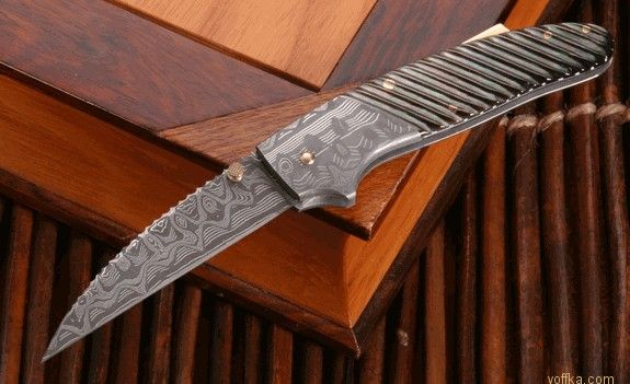 ���� ������ ������� ��������