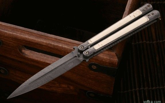 ���� ������ ������� ��������