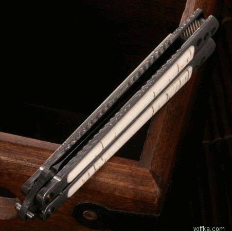 ���� ������ ������� ��������