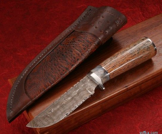 ���� ������ ������� ��������