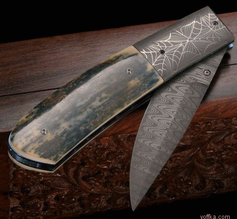 ���� ������ ������� ��������