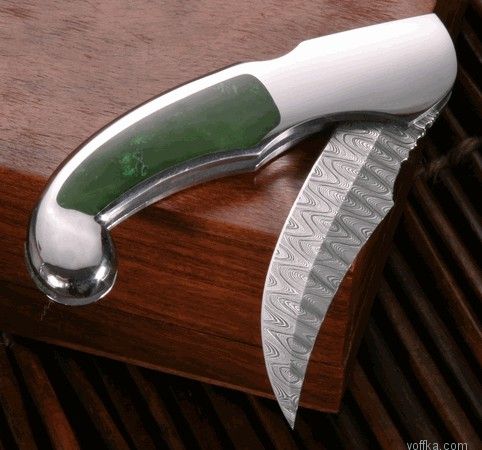 ���� ������ ������� ��������