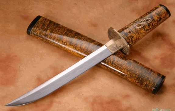 ���� ������ ������� ��������