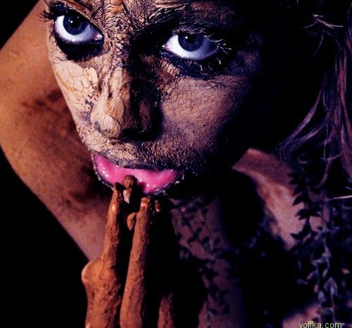 ���� Herr Buchta