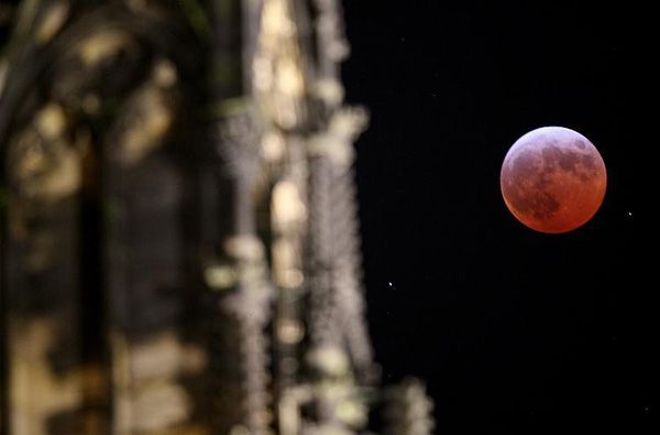 ������ ��������