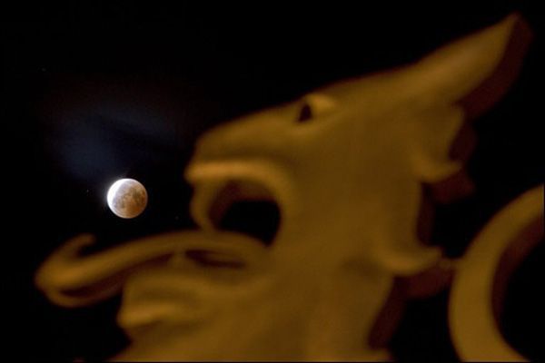 ������ ��������