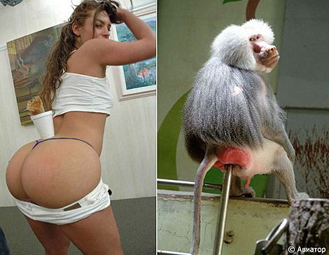 ���� � ��������