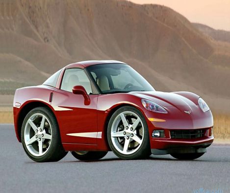 ���� ����������