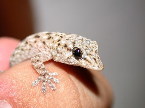 ����-��������