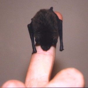 ����-��������