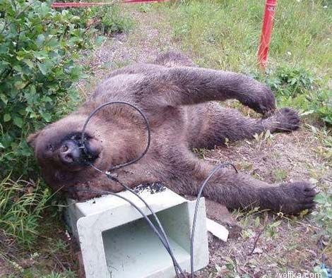 �������� � voffka.com