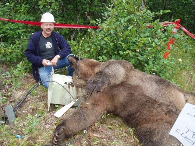 Картинка с voffka.com