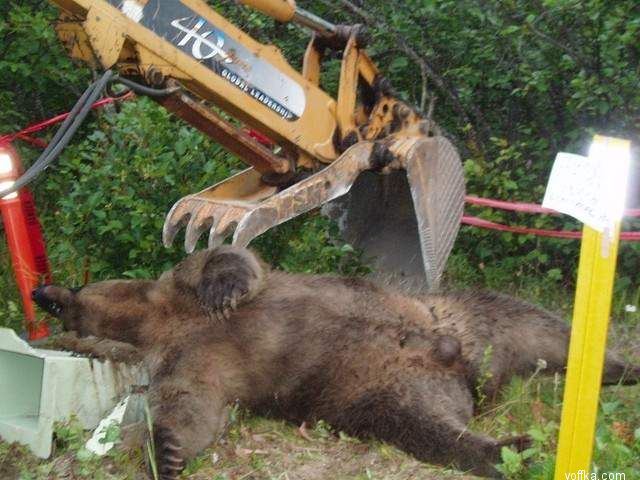 Картинка с voffka.com