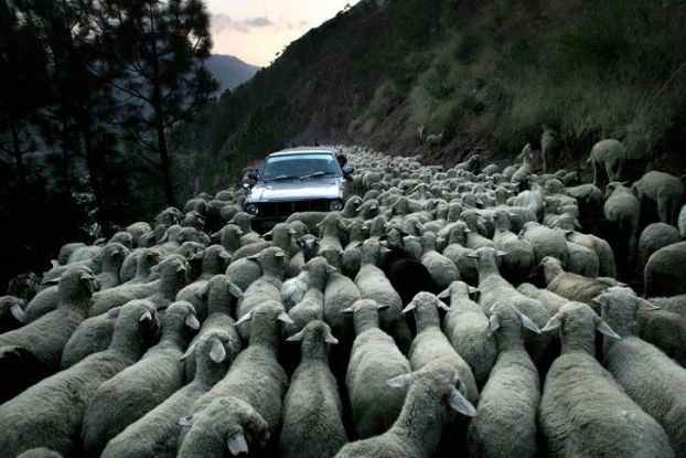 лучшие фотографии 2006, по версии msnbc