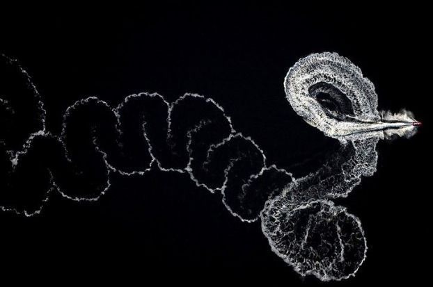 лучшие фотографии 2006, по версии msnbc