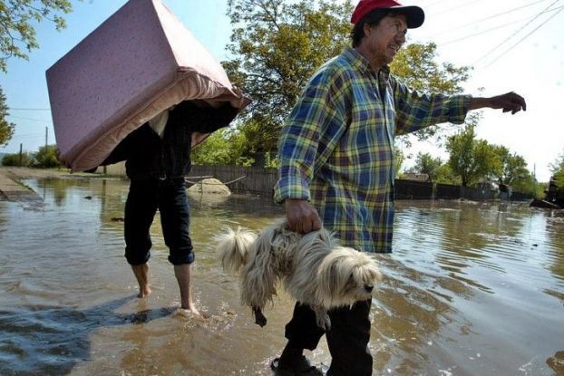 лучшие фотографии 2006, по версии msnbc
