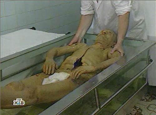 ��� ���� ����� ������